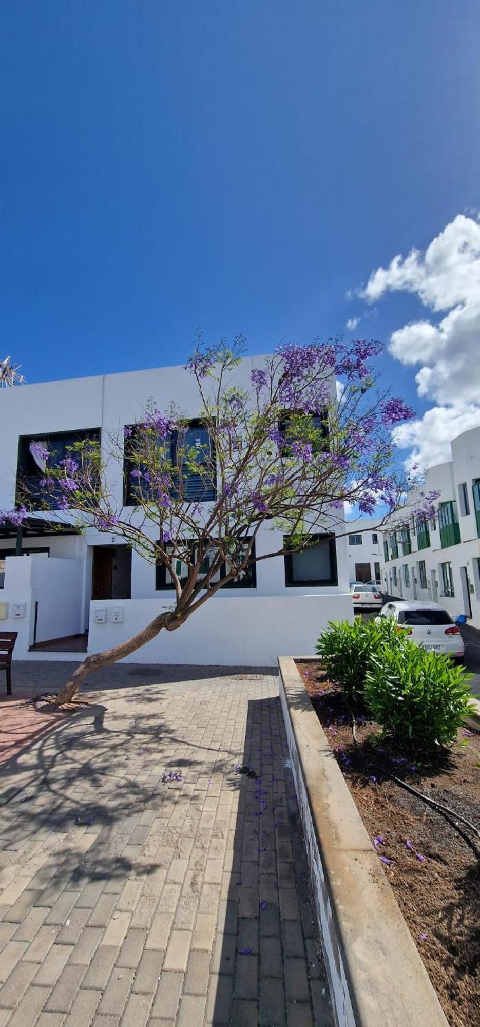 Apartamento Margarita Playa Blanca  Ngoại thất bức ảnh